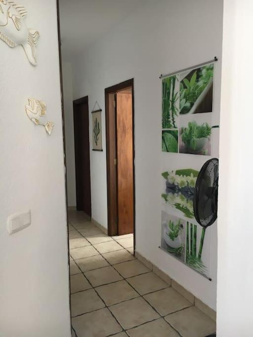 Apartamento Playero Privado Wifi- Morrojable Морро-дель-Хабле Экстерьер фото